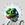 Mind of Pepe