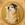 MomoCoin