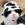 MooCat [OLD]
