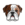 Moosecoin
