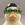 Nasduck