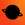 Nova Shield