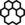 Paw V2