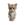 PHDKitty