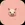 PIGI COIN