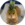 Pineapple Cat