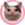 Polite Cat