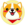 Pup Doge