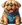 Pupnance
