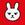 Roki The Rabbit