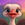 Save The Ostriches