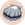 Scallop