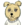 Shibussy