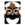 ShitCoin