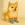 Sock Inu