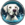 Splash Dog