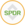 SPY (bStocks Tokenized Stock)