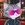 Stonk Cats