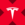 Tesla xStock