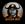 The Bitcoin Bull