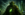 The Green Bull