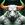 The White Bull