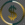 thUSD