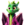 Toly