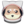 Tsuki Inu