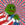 Uspepe