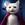 VampCatCoin