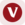 Vanguard Information Technology ETF Tokenized Stock (Reality)