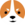 Welshcorgicoin