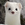 White Mountain Ermine