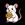 White Rat
