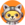 Xdoge
