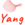 YANG