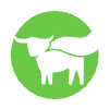 Beyond Meat, Inc.