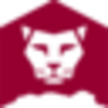 Lion Rock Group Limited