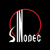 SINOPEC Engineering (Group) Co Ltd