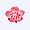 China Airlines, Ltd.