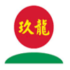 Nine Dragons Paper (Holdings) Limited