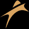 Amneal Pharmaceuticals Inc