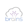 Brains Technology, Inc.