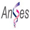 AnGes, Inc.