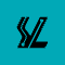Shengyi Technology Co.,Ltd.