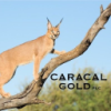 Imara Gold Plc