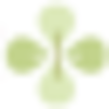 Medicskin Holdings Limited