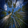 Australian Ethical Investment Limited