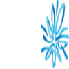 AMP Limited